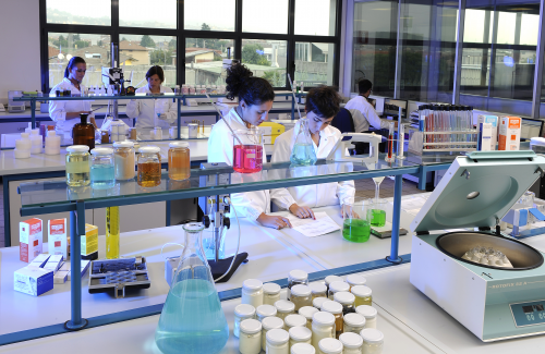 市场规模已由2019年的5311亿元增长至2024年的6886亿元