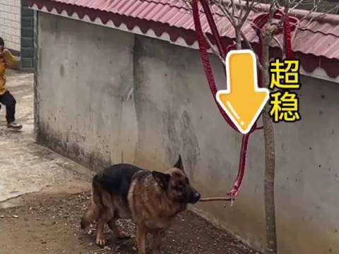 爱德华兹高中暴力打法引关注 未来联盟门面初现